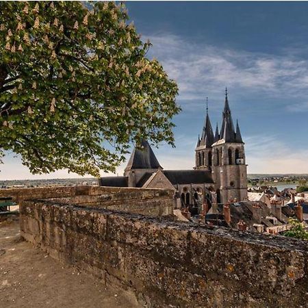 Appartement Coeur De Blois /Heart Of The City Zewnętrze zdjęcie